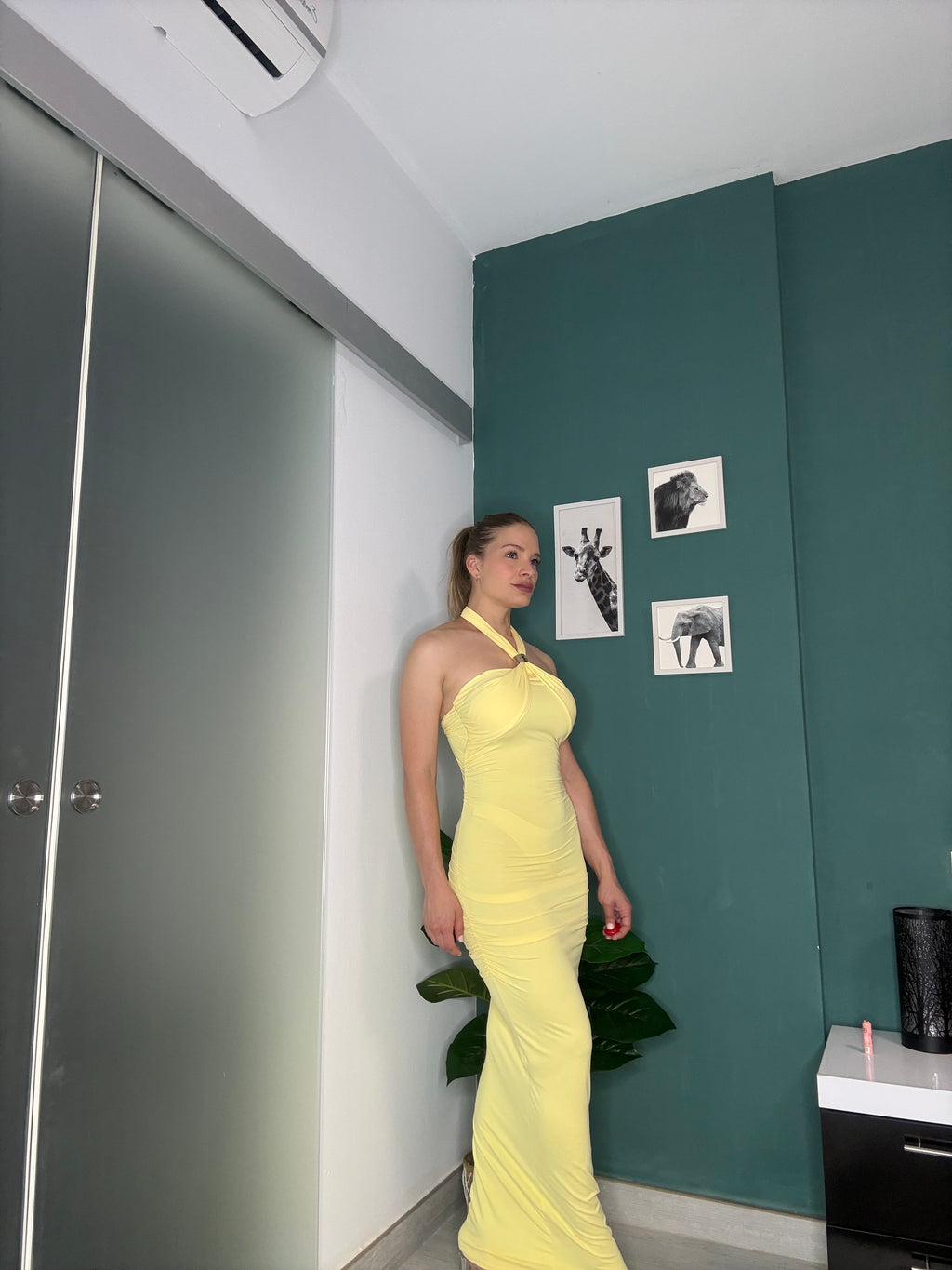 Vestido Carolina