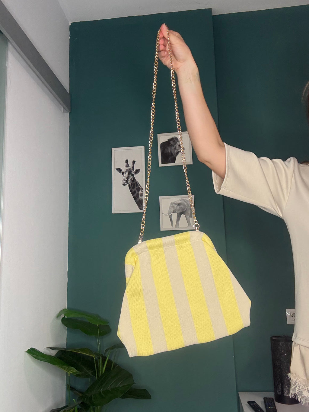 Bolso Raya